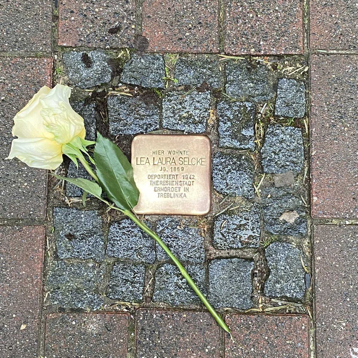Internationaler Gedenktag an die Opfer des Holocausts
